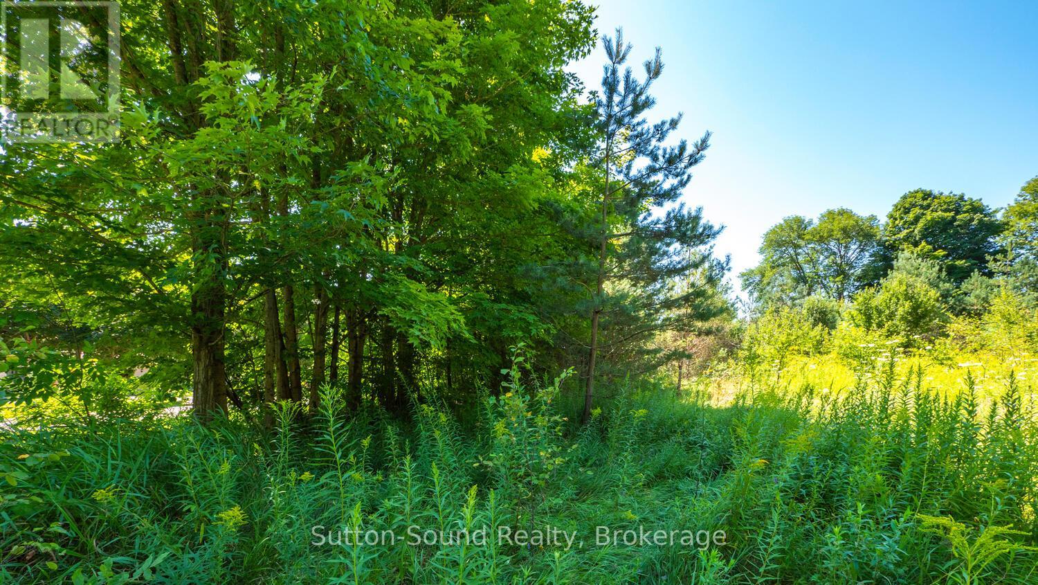 31 Everett Road, South Bruce Peninsula, Ontario  N0H 2T0 - Photo 12 - X12141235