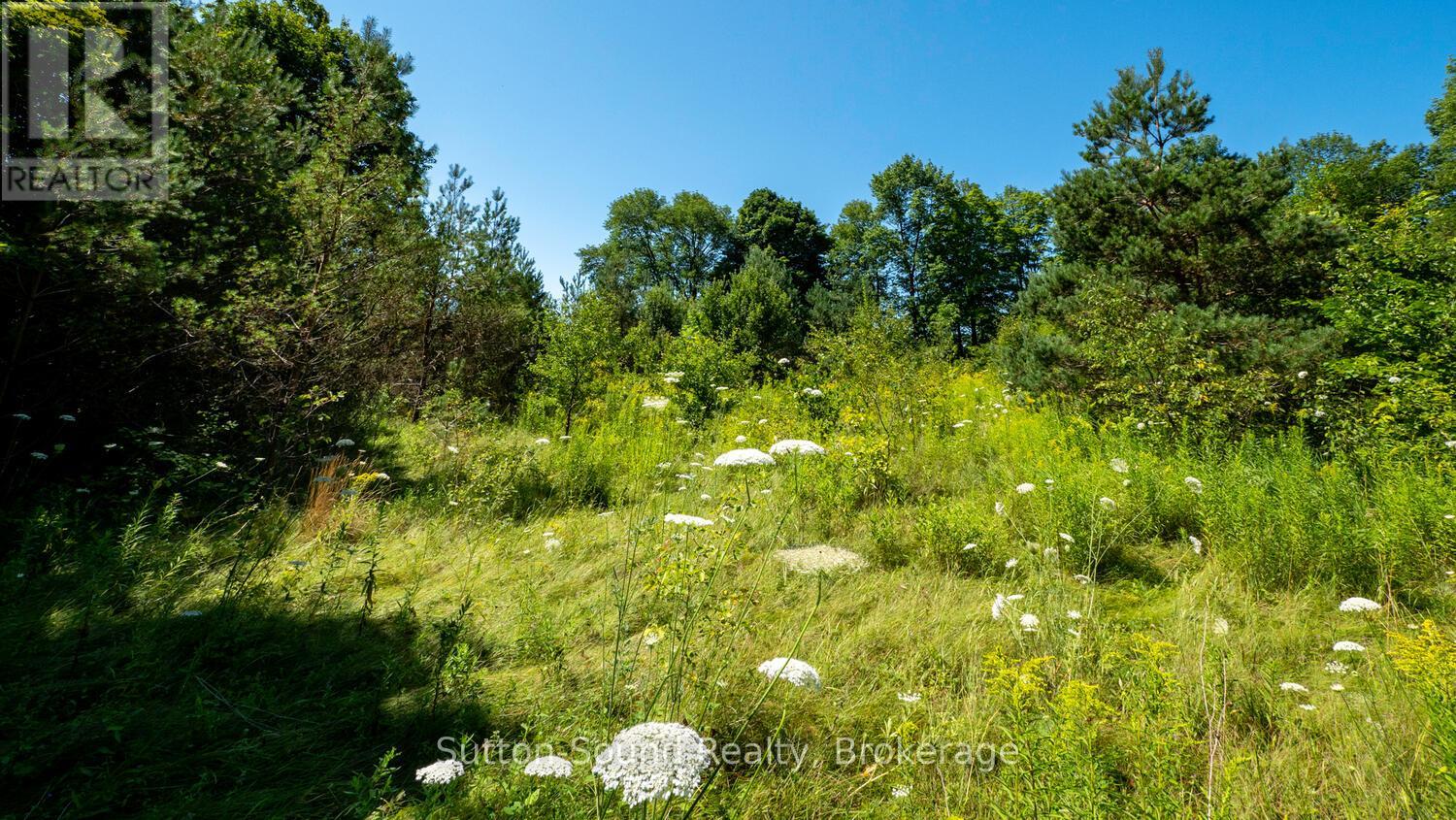 31 Everett Road, South Bruce Peninsula, Ontario  N0H 2T0 - Photo 6 - X12141235