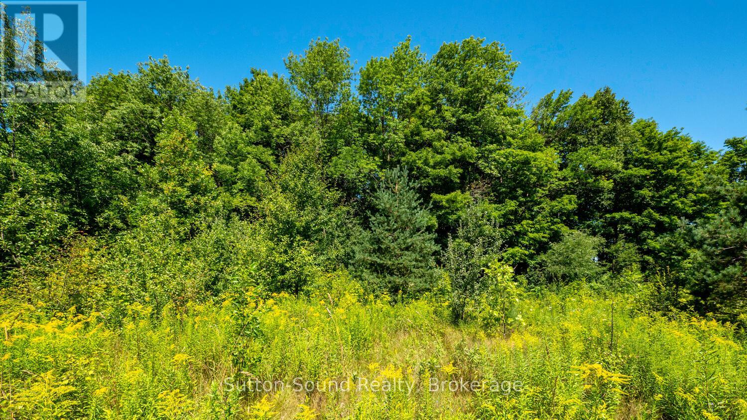 31 Everett Road, South Bruce Peninsula, Ontario  N0H 2T0 - Photo 7 - X12141235