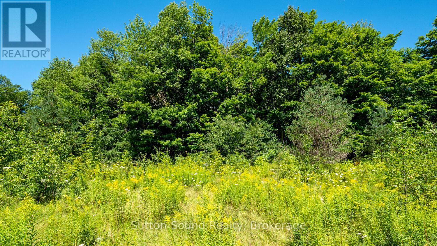 31 Everett Road, South Bruce Peninsula, Ontario  N0H 2T0 - Photo 8 - X12141235