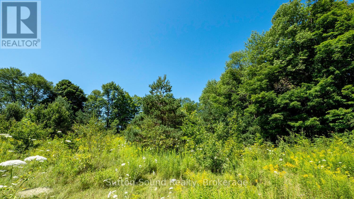 31 Everett Road, South Bruce Peninsula, Ontario  N0H 2T0 - Photo 9 - X12141235