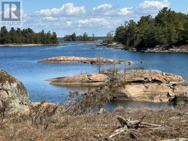 1 B844, The Archipelago, Ontario  P0G 1K0 - Photo 45 - X12134389