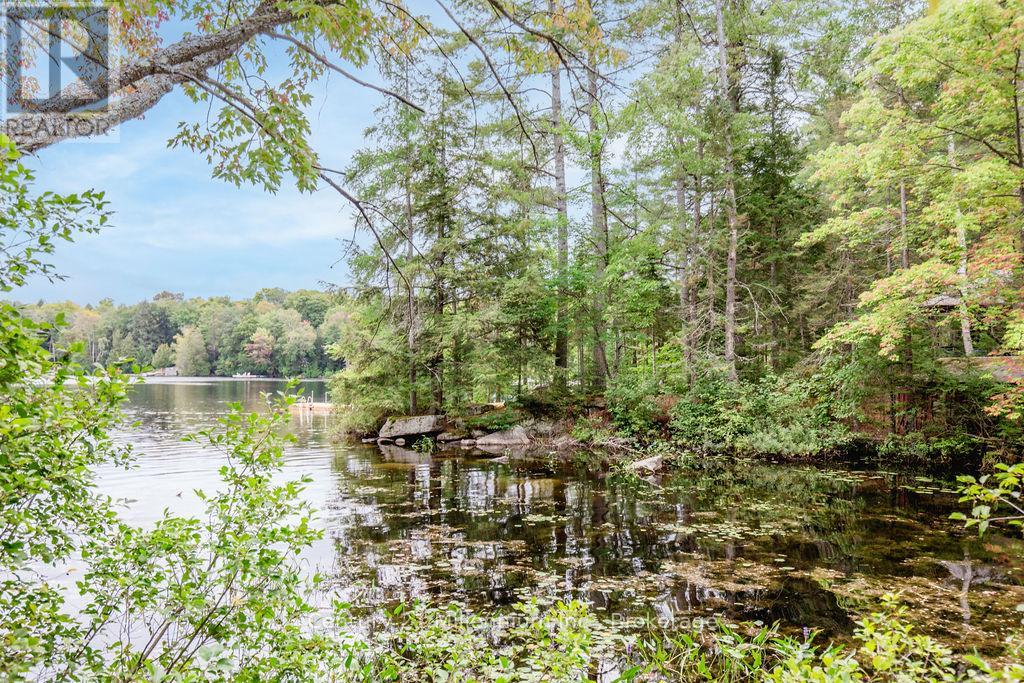 1046 Pine Lake Shores Private, Bracebridge, Ontario  P0B 1A0 - Photo 45 - X12147743