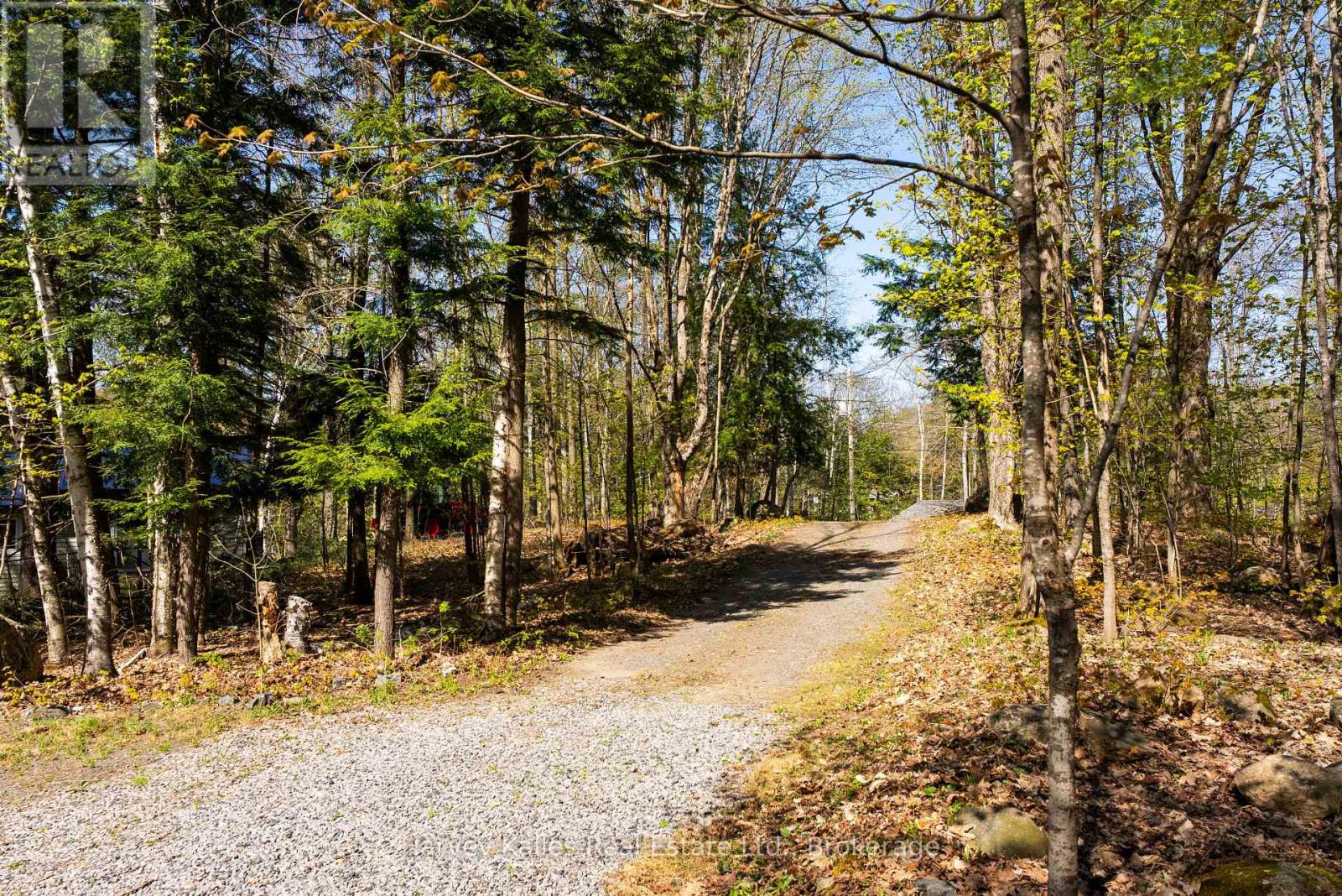 21 Todholm Drive, Muskoka Lakes, Ontario  P0B 1J0 - Photo 12 - X12149516