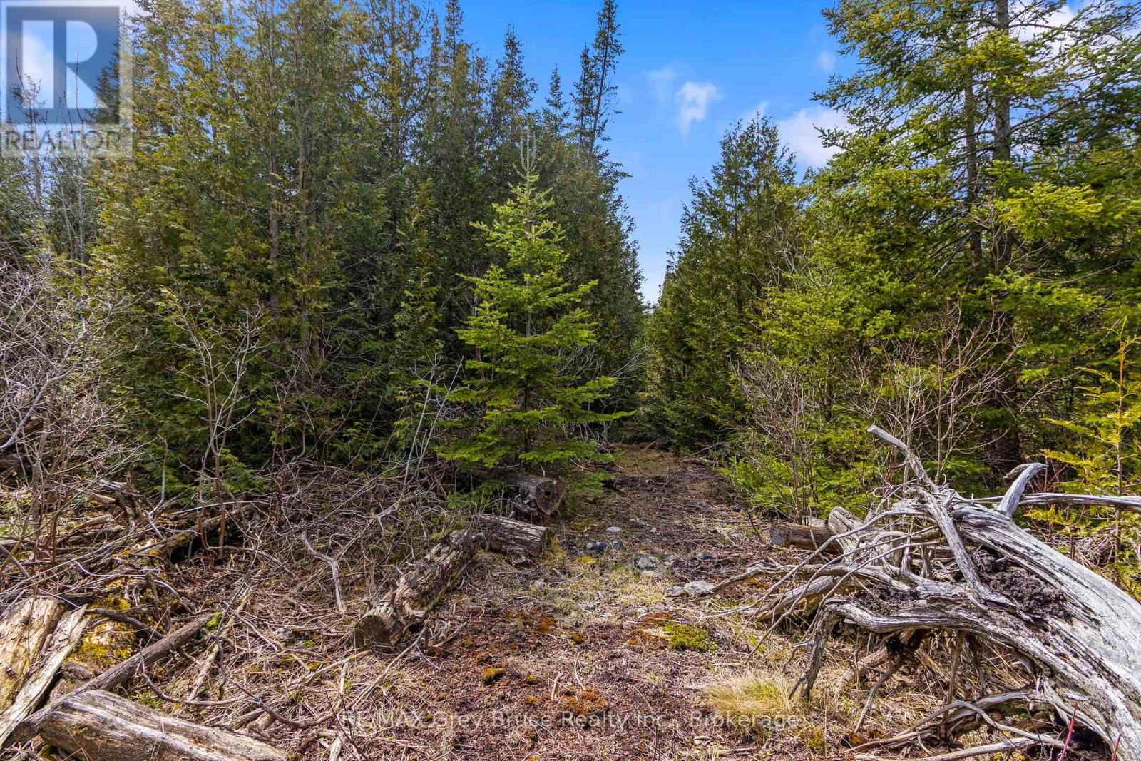 Lot 47 Greenough Pt Road, Northern Bruce Peninsula, Ontario  N0H 1Z0 - Photo 16 - X12149552