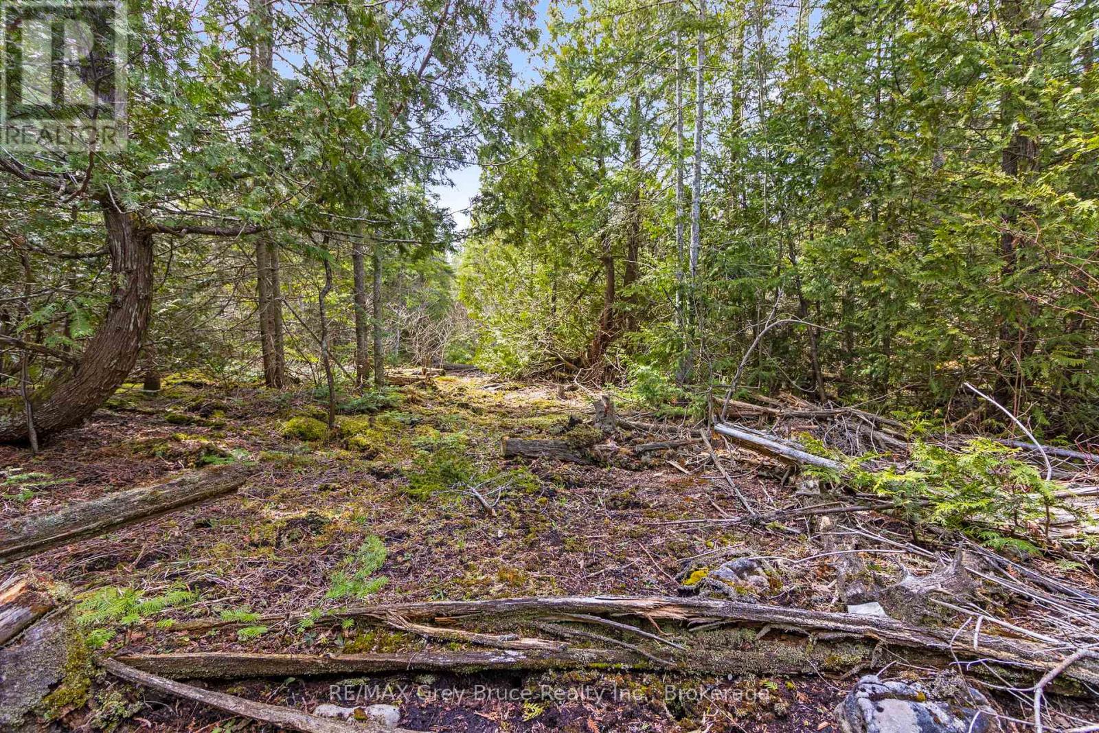 Lot 47 Greenough Pt Road, Northern Bruce Peninsula, Ontario  N0H 1Z0 - Photo 17 - X12149552