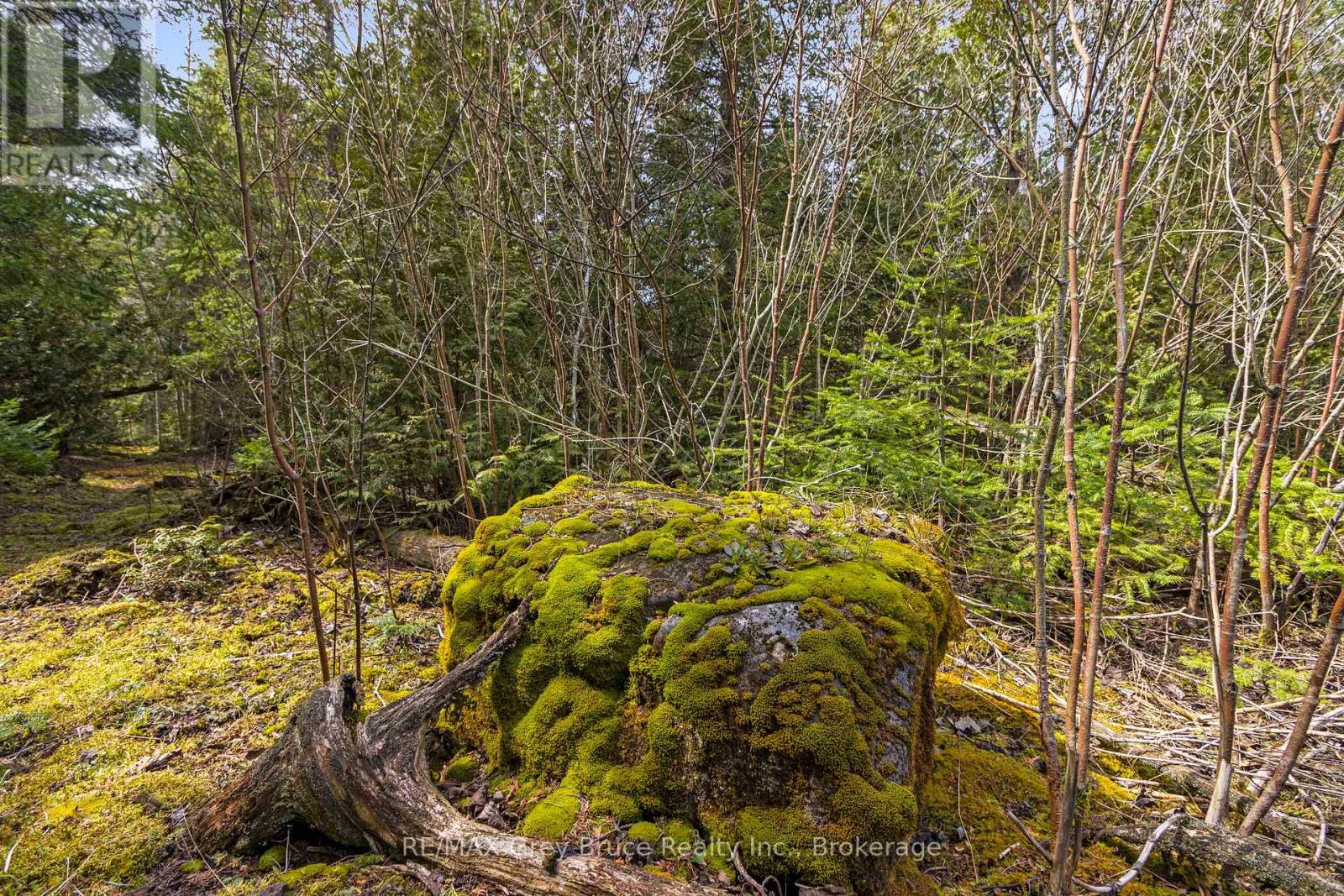 Lot 47 Greenough Pt Road, Northern Bruce Peninsula, Ontario  N0H 1Z0 - Photo 18 - X12149552
