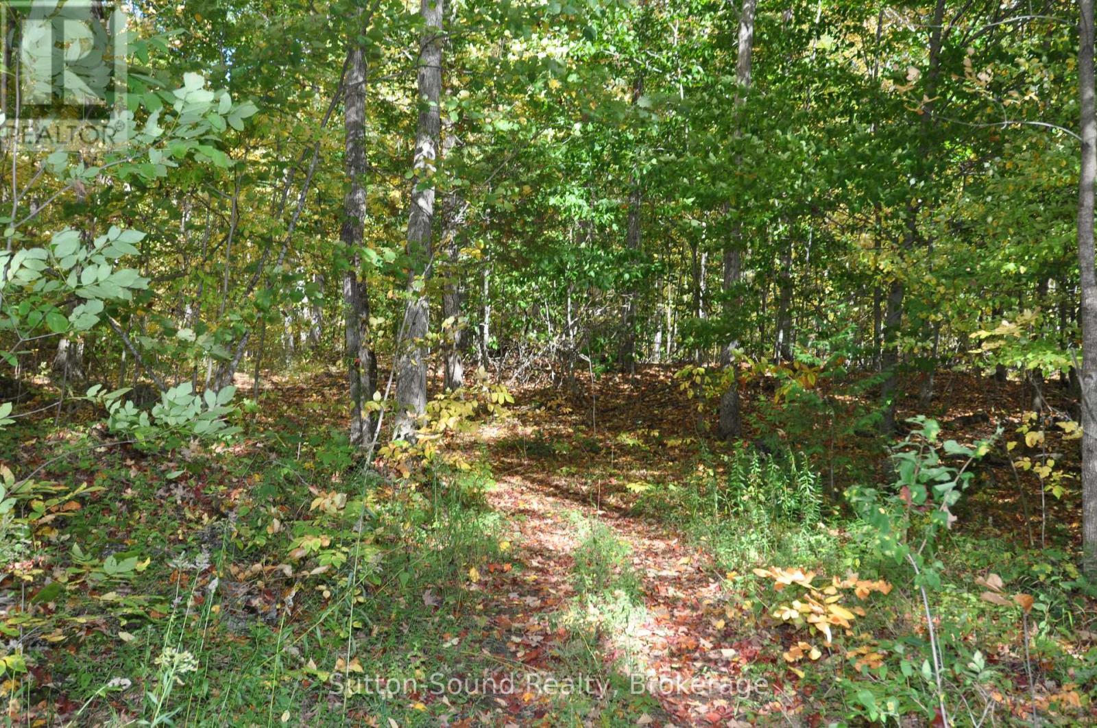 362534 Lindenwood Road, Georgian Bluffs, Ontario  N0H 2T0 - Photo 31 - X12151526