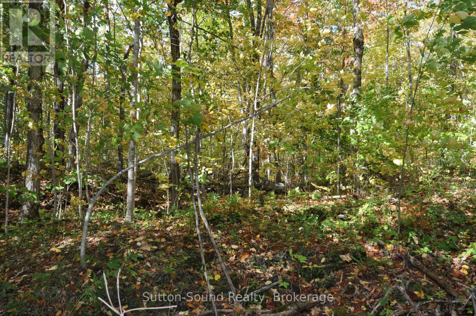 362534 Lindenwood Road, Georgian Bluffs, Ontario  N0H 2T0 - Photo 32 - X12151526
