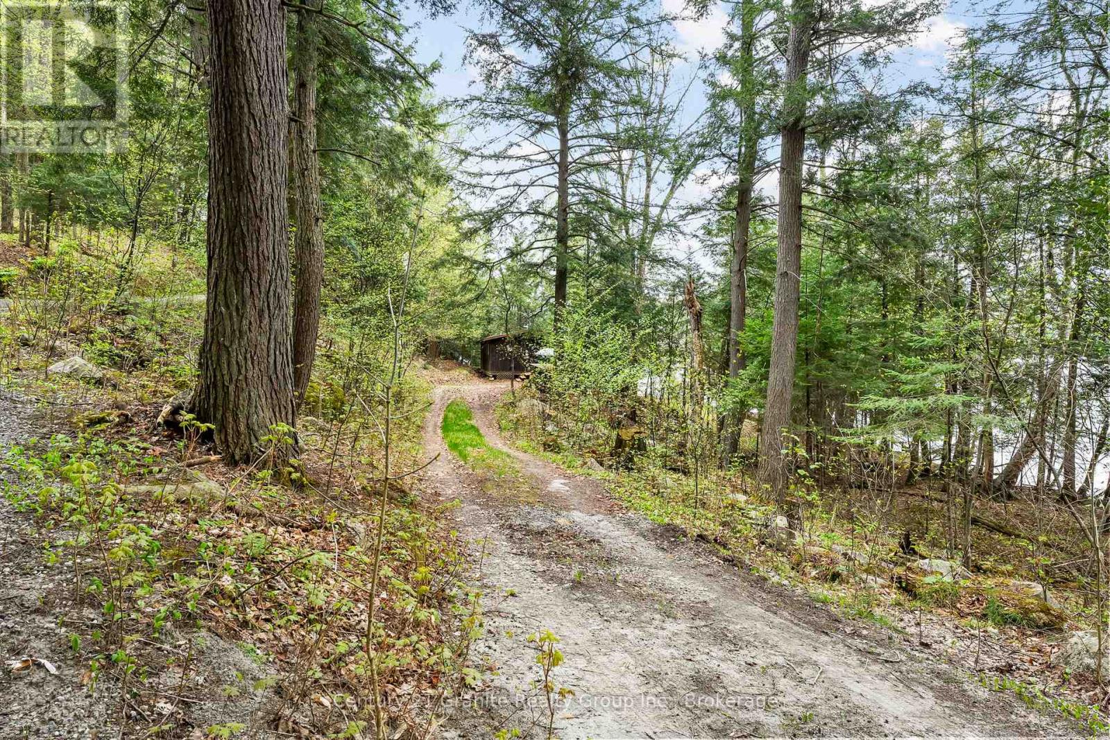 1208 Reg's Trail, Dysart Et Al, Ontario  K0M 1S0 - Photo 35 - X12151591