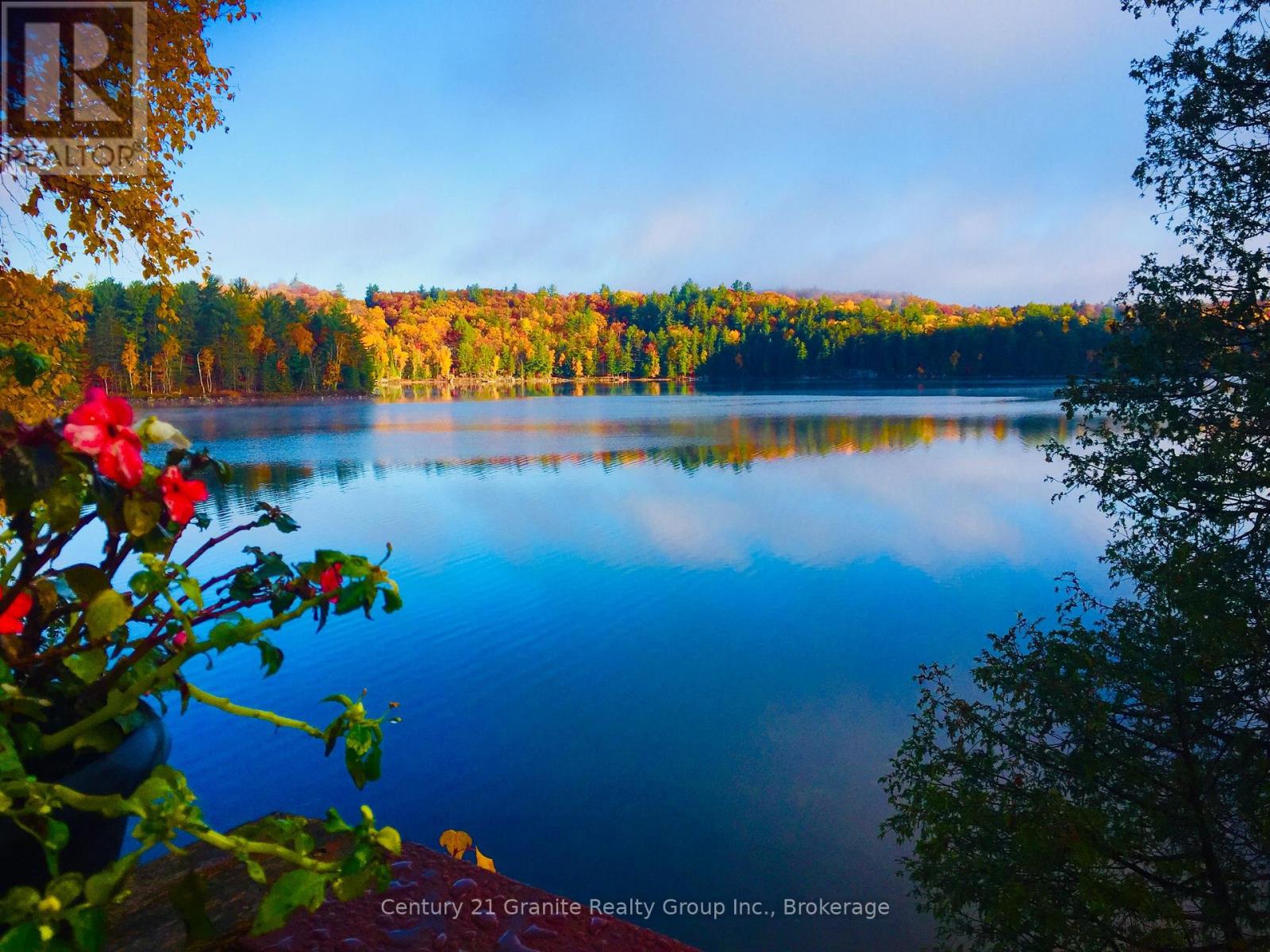 1208 Reg's Trail, Dysart Et Al, Ontario  K0M 1S0 - Photo 42 - X12151591