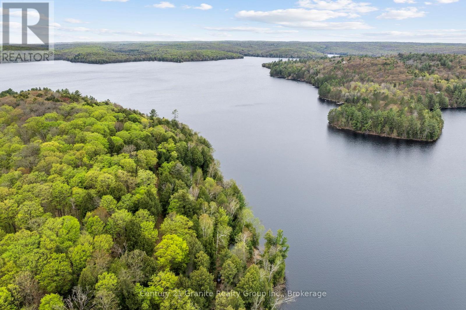 1208 Reg's Trail, Dysart Et Al, Ontario  K0M 1S0 - Photo 6 - X12151591