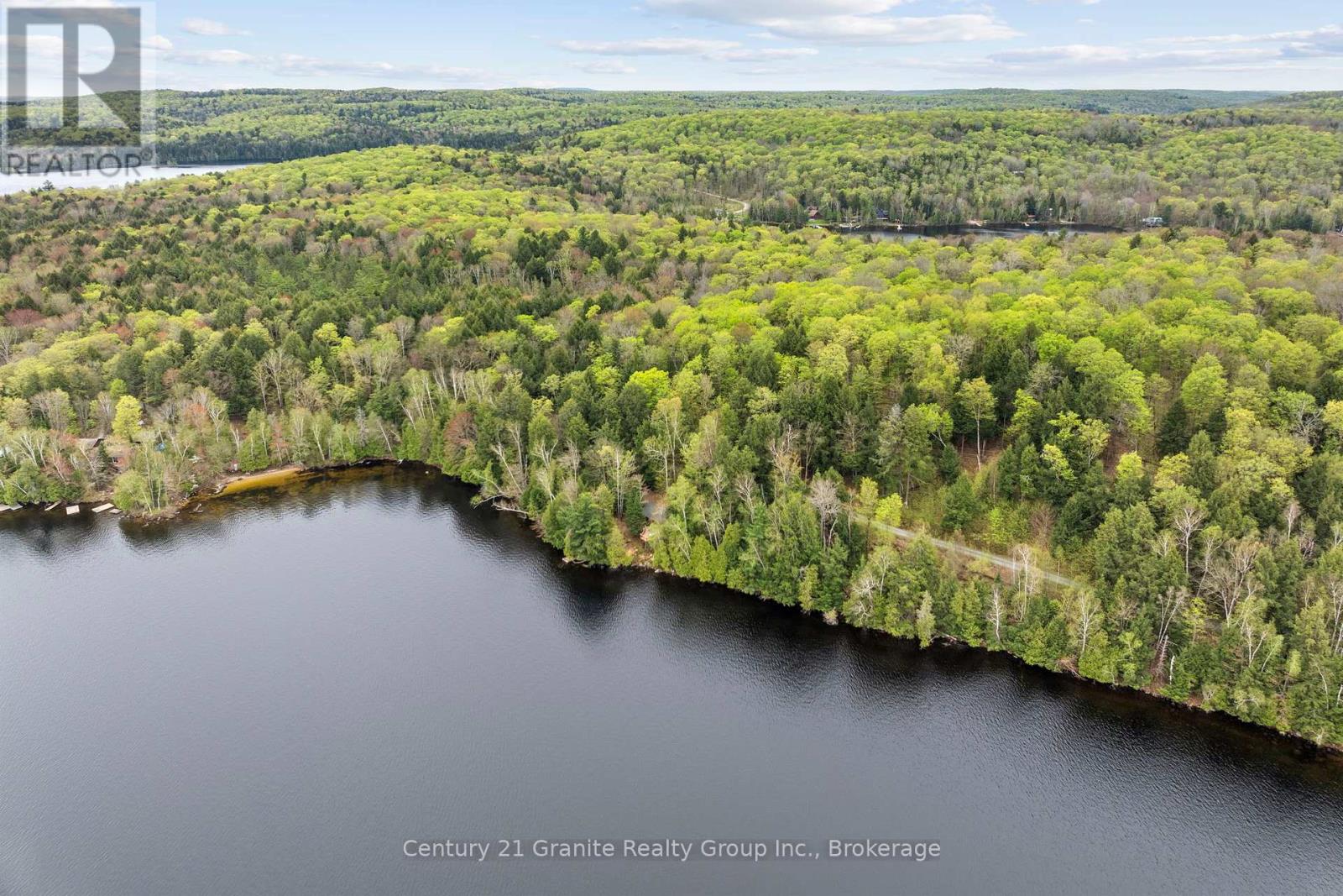 1208 Reg's Trail, Dysart Et Al, Ontario  K0M 1S0 - Photo 9 - X12151591