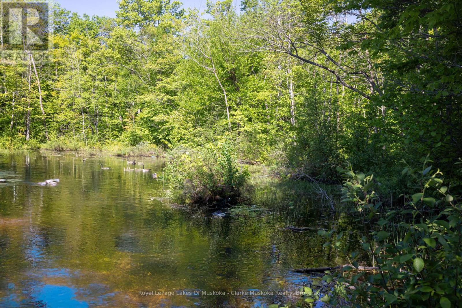 520 Sweets Portage Road, Georgian Bay, Ontario  L0K 1S0 - Photo 3 - X12151757