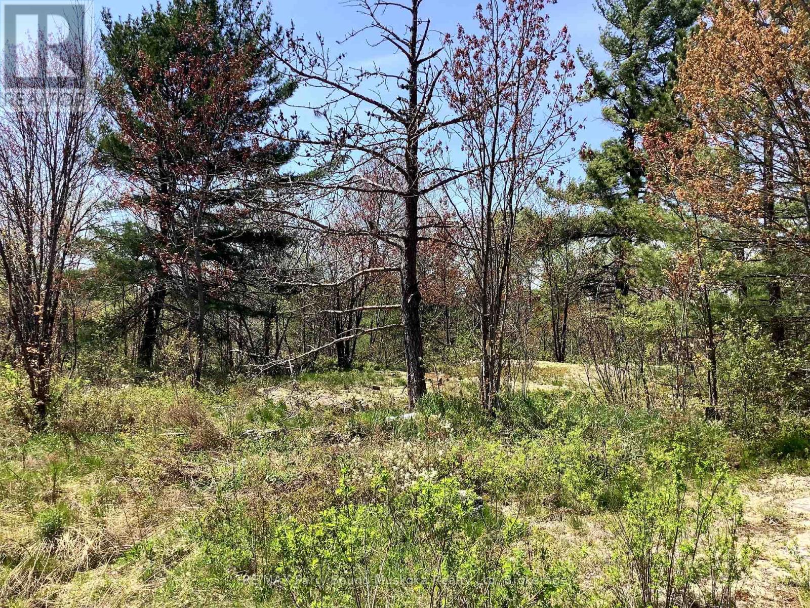 0000 Gauthier Station Road, Killarney, Ontario  P0M 2A0 - Photo 10 - X12151821