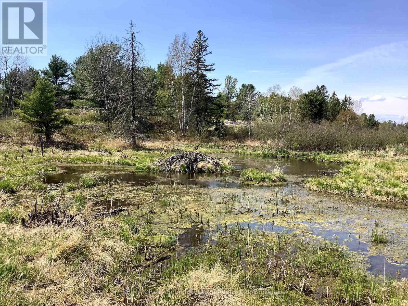 0000 Gauthier Station Road, Killarney, Ontario  P0M 2A0 - Photo 12 - X12151821