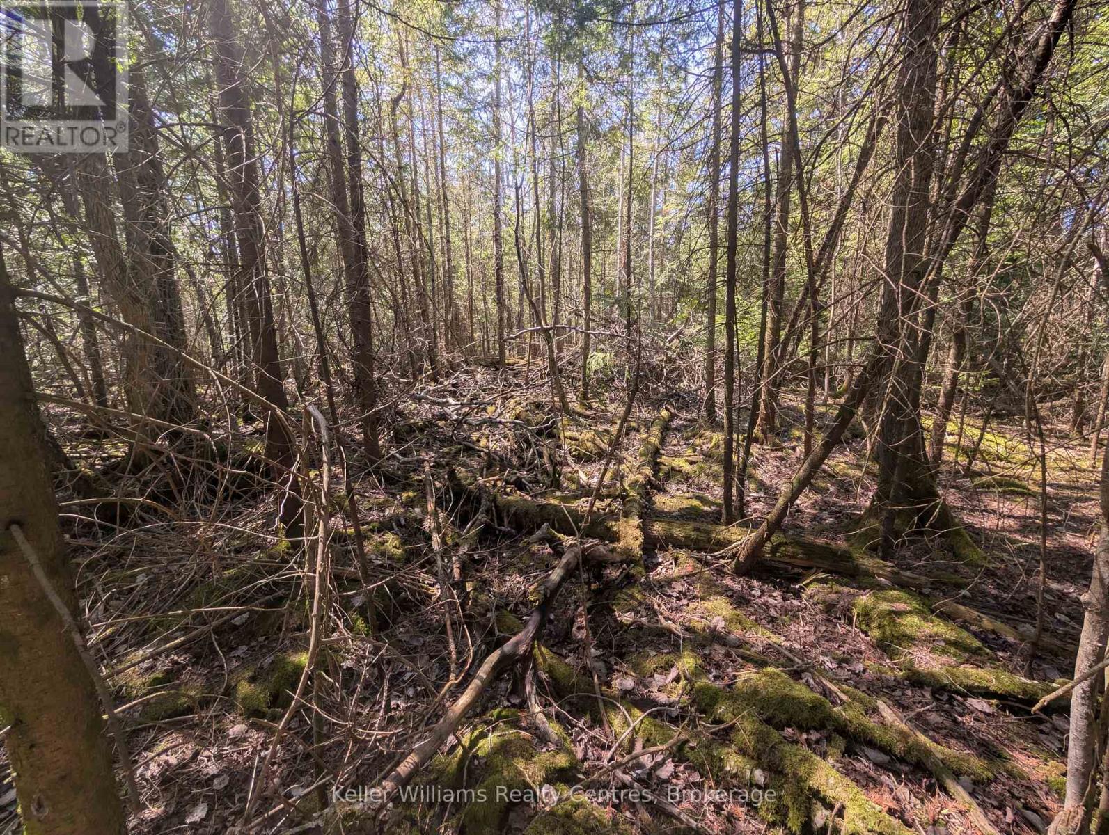 Lot 10 Trillium Crossing, Northern Bruce Peninsula, Ontario  N0H 1W0 - Photo 10 - X12151939