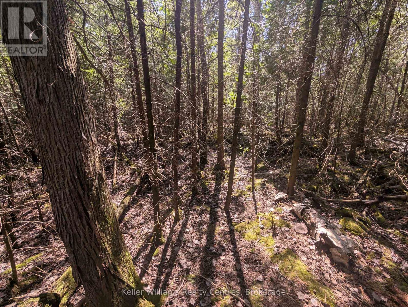 Lot 10 Trillium Crossing, Northern Bruce Peninsula, Ontario  N0H 1W0 - Photo 11 - X12151939