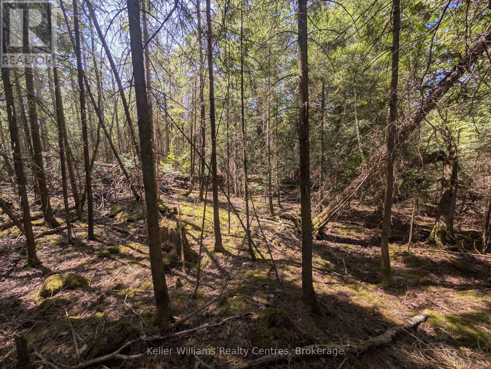 Lot 10 Trillium Crossing, Northern Bruce Peninsula, Ontario  N0H 1W0 - Photo 12 - X12151939