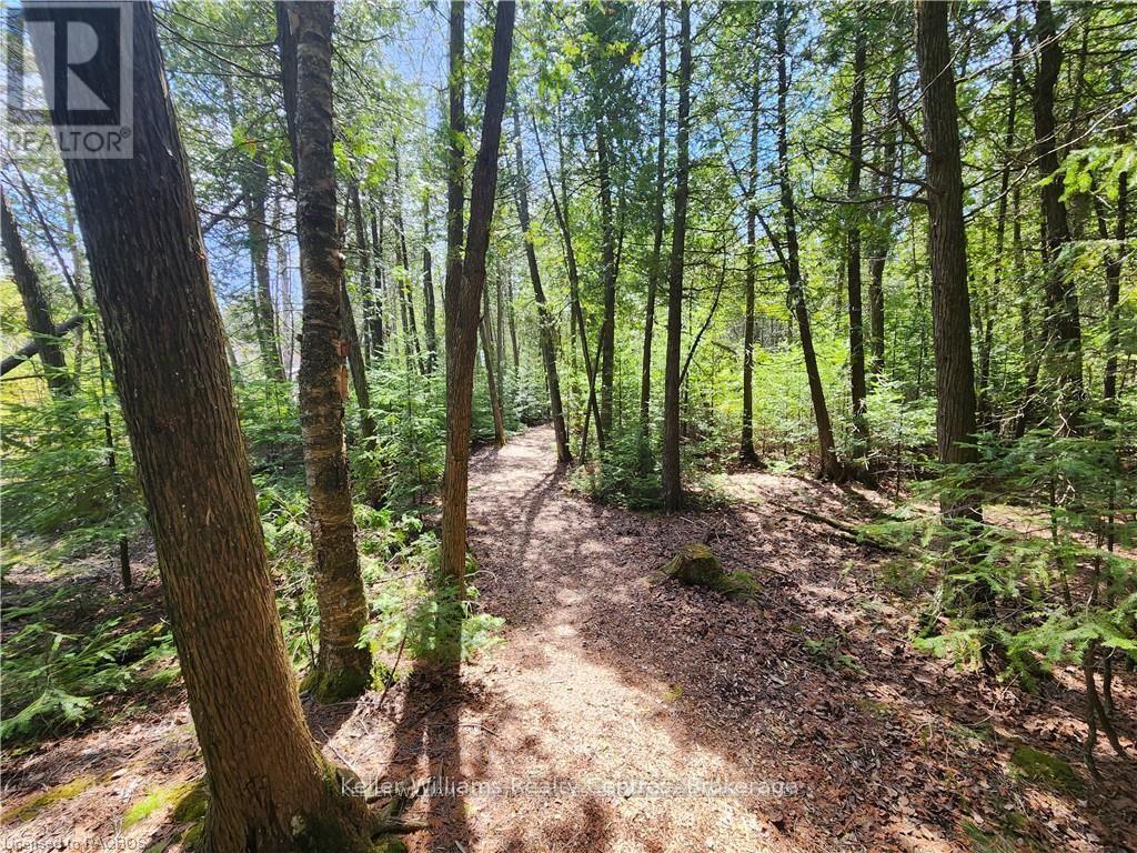 Lot 10 Trillium Crossing, Northern Bruce Peninsula, Ontario  N0H 1W0 - Photo 25 - X12151939