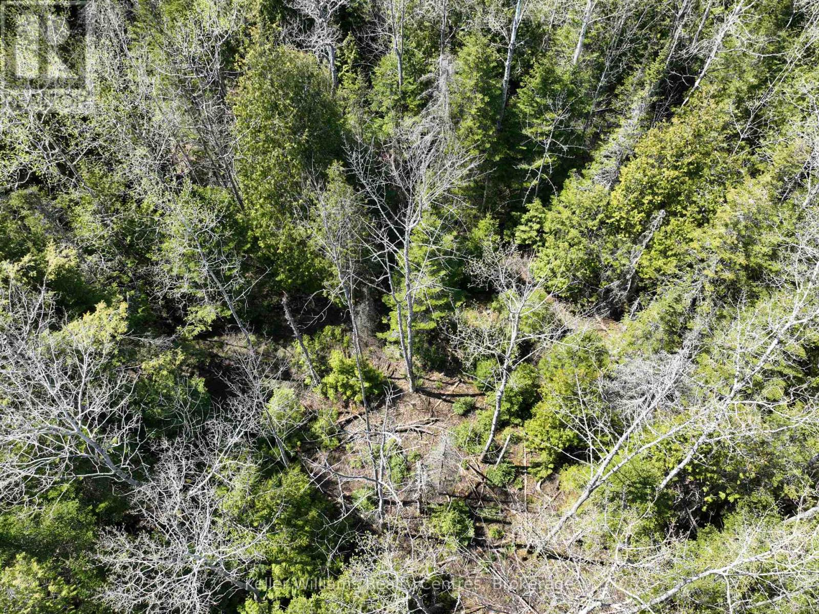 Lot 10 Trillium Crossing, Northern Bruce Peninsula, Ontario  N0H 1W0 - Photo 6 - X12151939