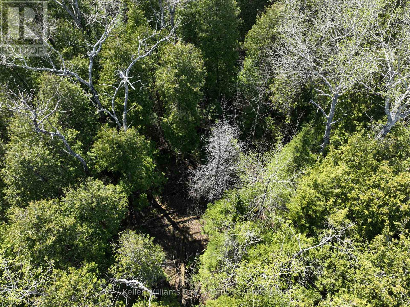 Lot 10 Trillium Crossing, Northern Bruce Peninsula, Ontario  N0H 1W0 - Photo 7 - X12151939