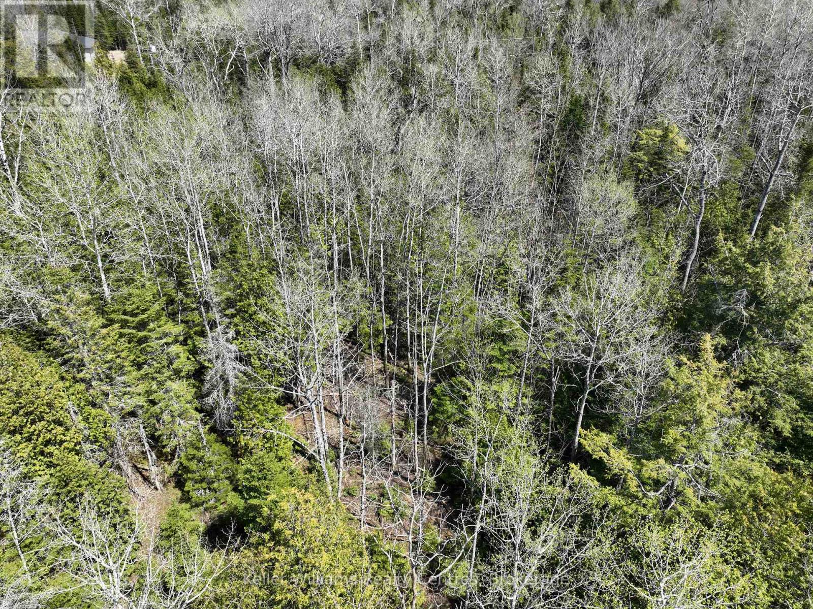 Lot 10 Trillium Crossing, Northern Bruce Peninsula, Ontario  N0H 1W0 - Photo 8 - X12151939