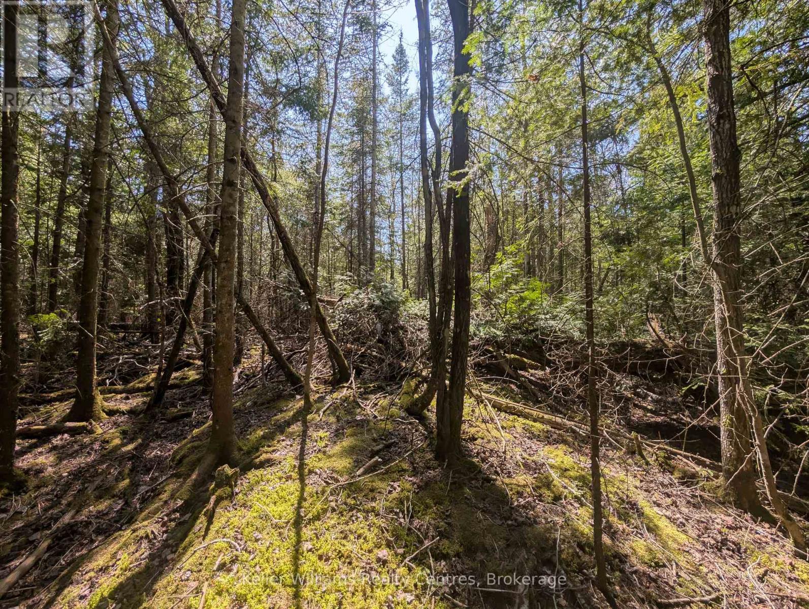 Lot 10 Trillium Crossing, Northern Bruce Peninsula, Ontario  N0H 1W0 - Photo 9 - X12151939
