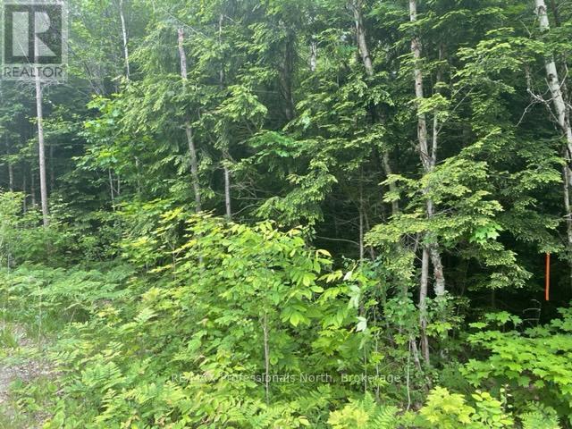 0 Big Hawk Lake Road, Algonquin Highlands, Ontario  K0M 1S0 - Photo 2 - X12152476