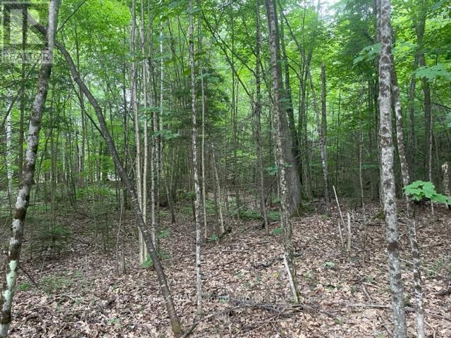0 Big Hawk Lake Road, Algonquin Highlands, Ontario  K0M 1S0 - Photo 3 - X12152476