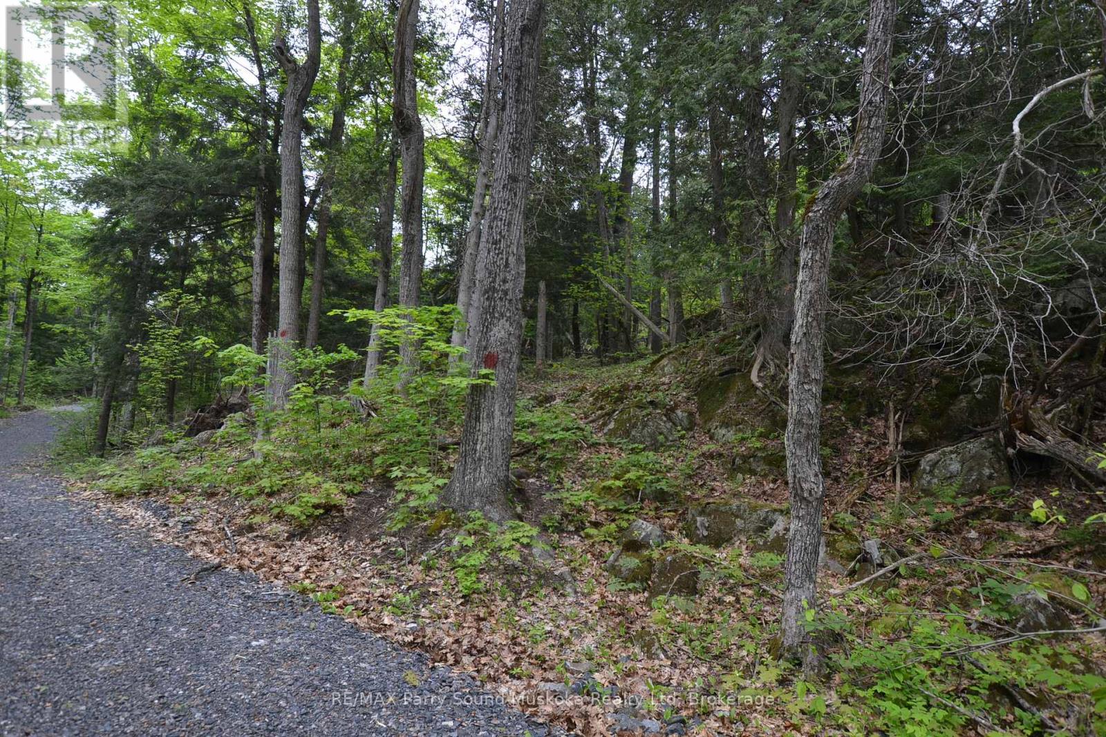 1 Salway Lane, Mckellar, Ontario  P0G 1C0 - Photo 10 - X12152974
