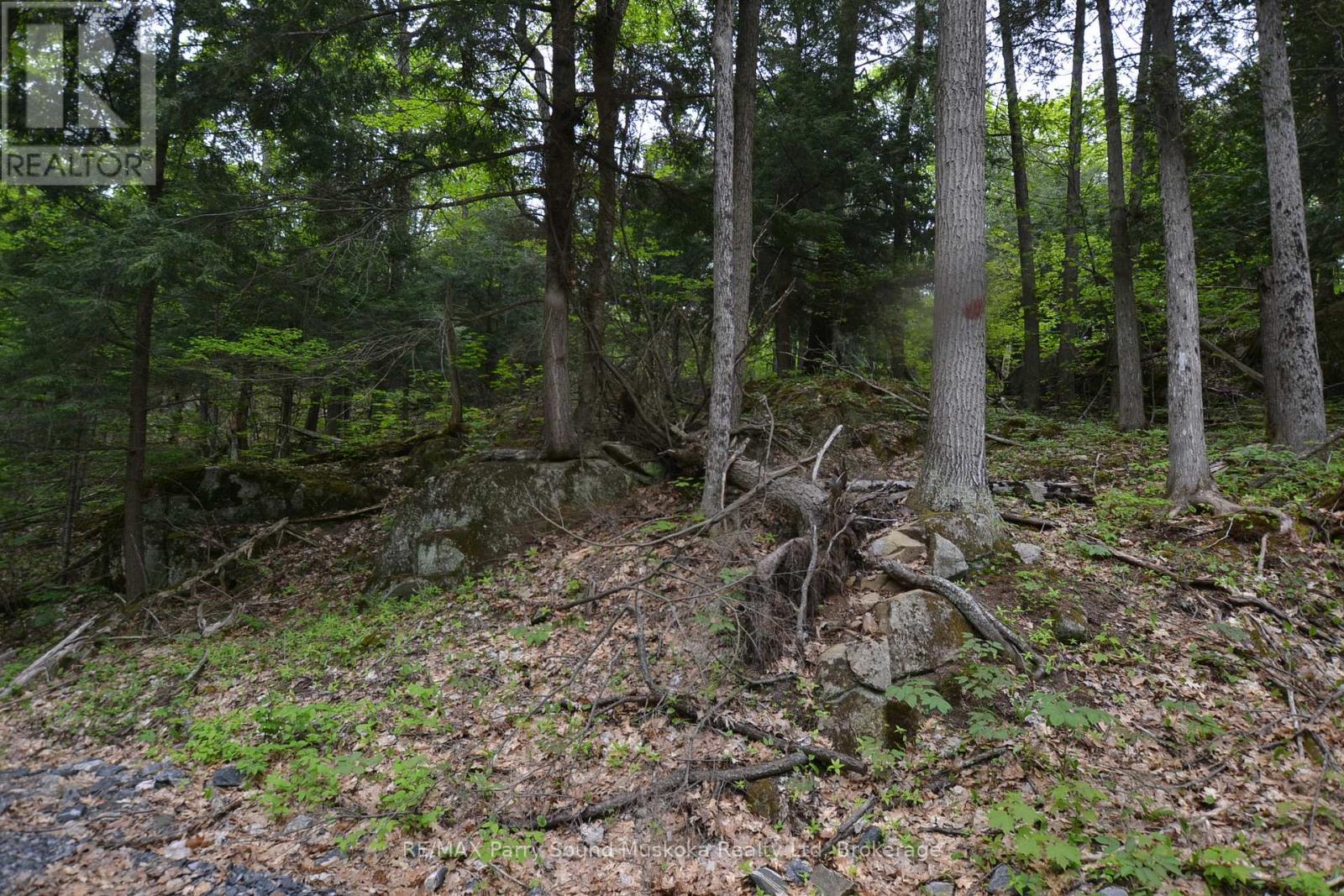 1 Salway Lane, Mckellar, Ontario  P0G 1C0 - Photo 11 - X12152974