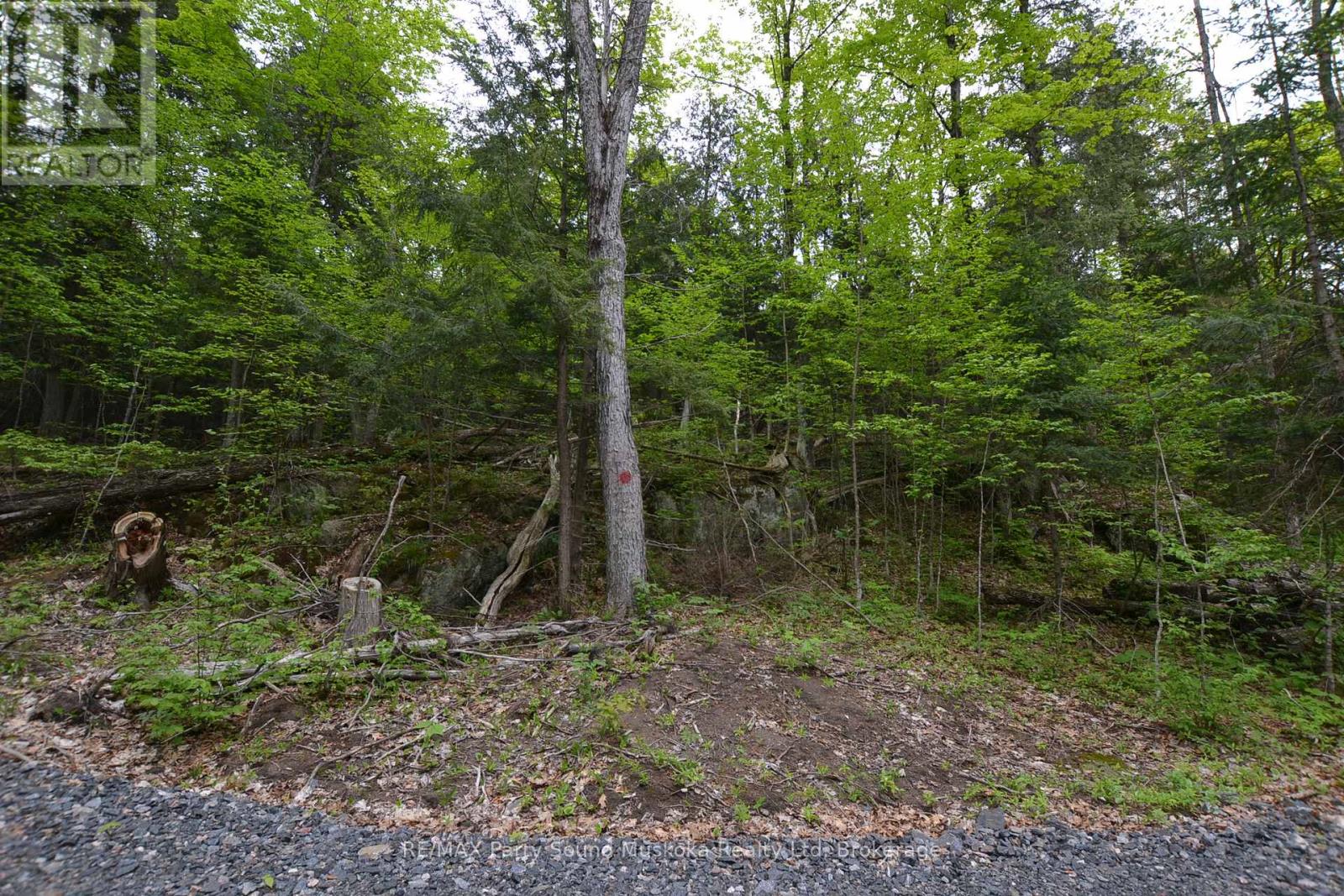 1 Salway Lane, Mckellar, Ontario  P0G 1C0 - Photo 14 - X12152974