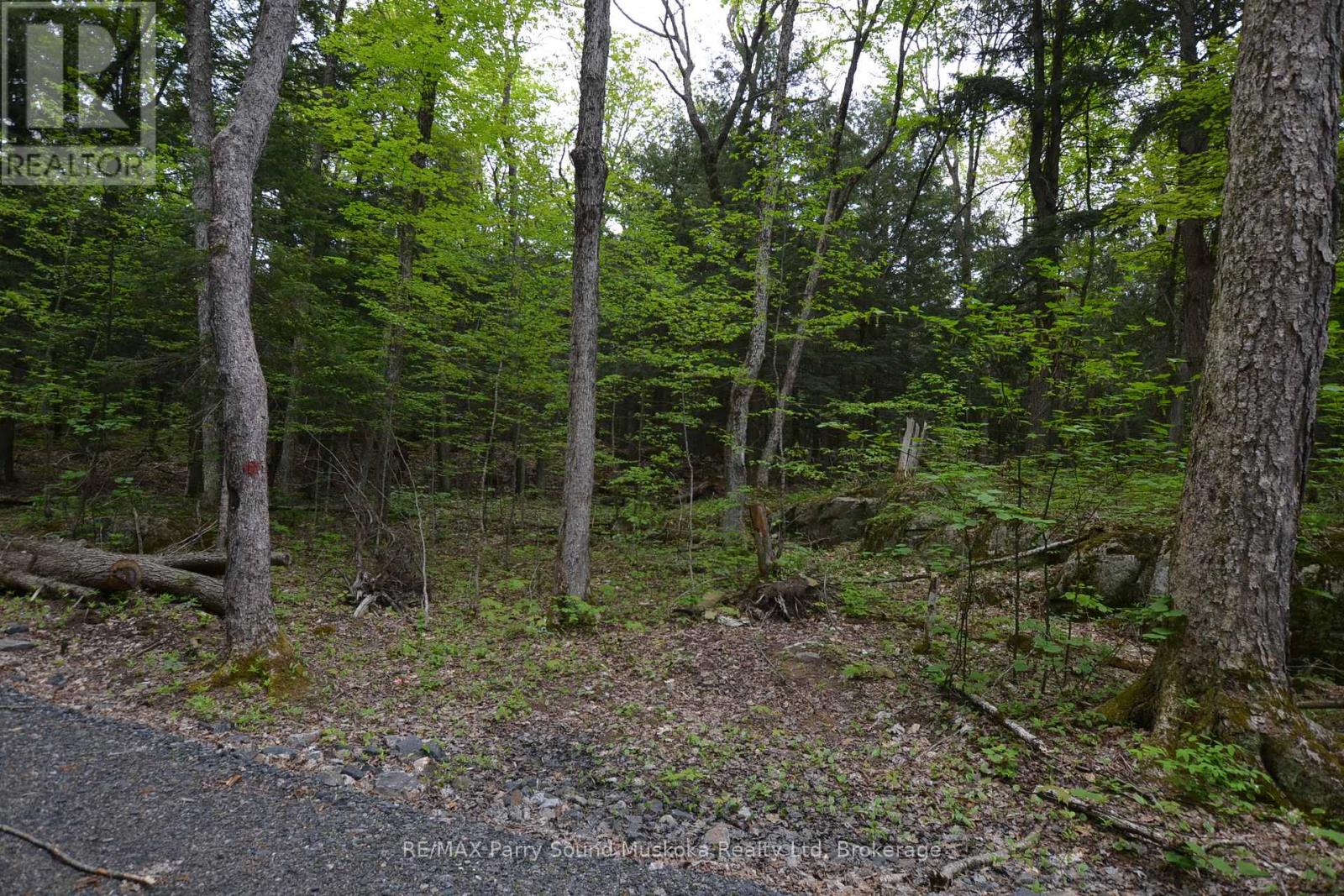 1 Salway Lane, Mckellar, Ontario  P0G 1C0 - Photo 17 - X12152974