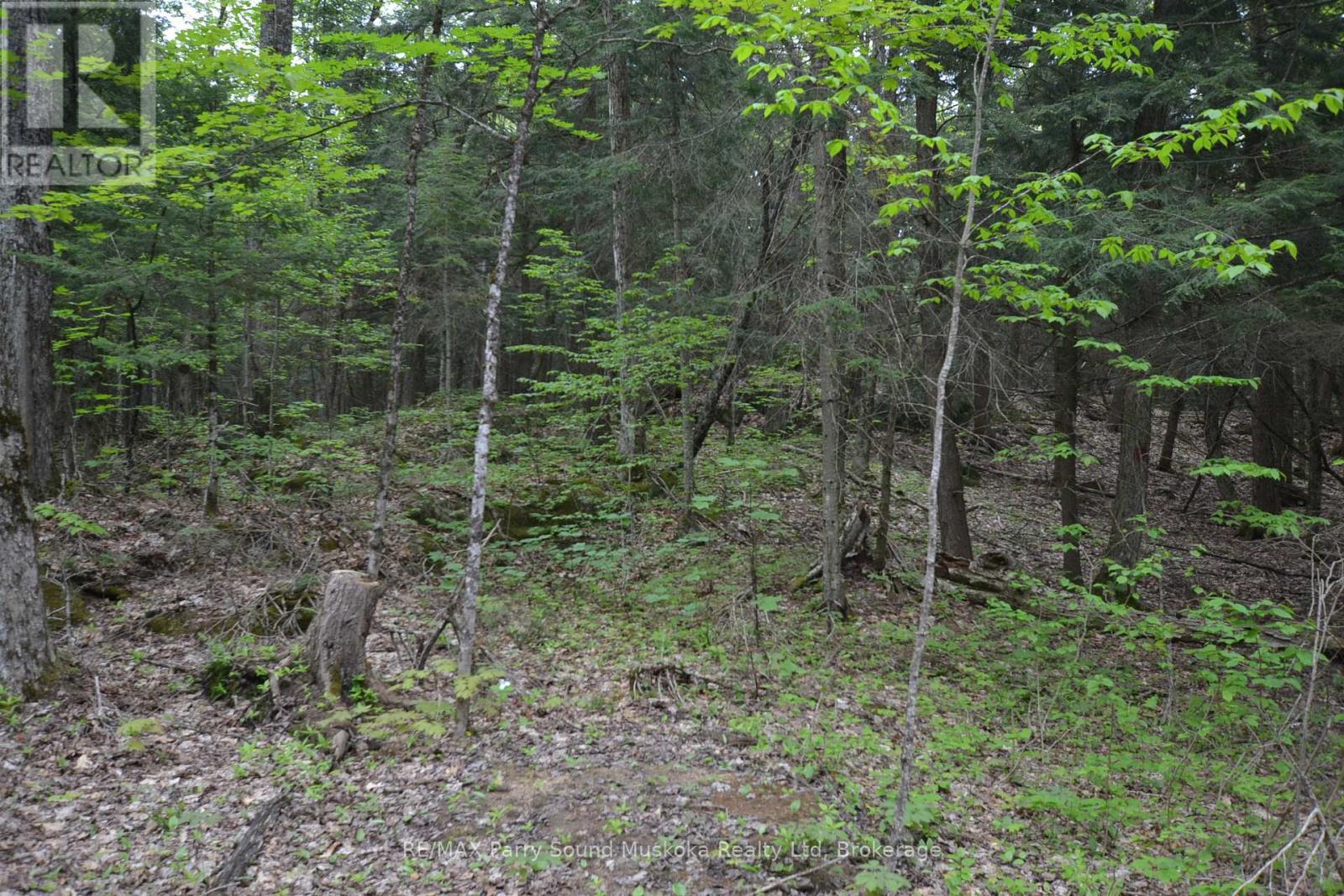 1 Salway Lane, Mckellar, Ontario  P0G 1C0 - Photo 19 - X12152974