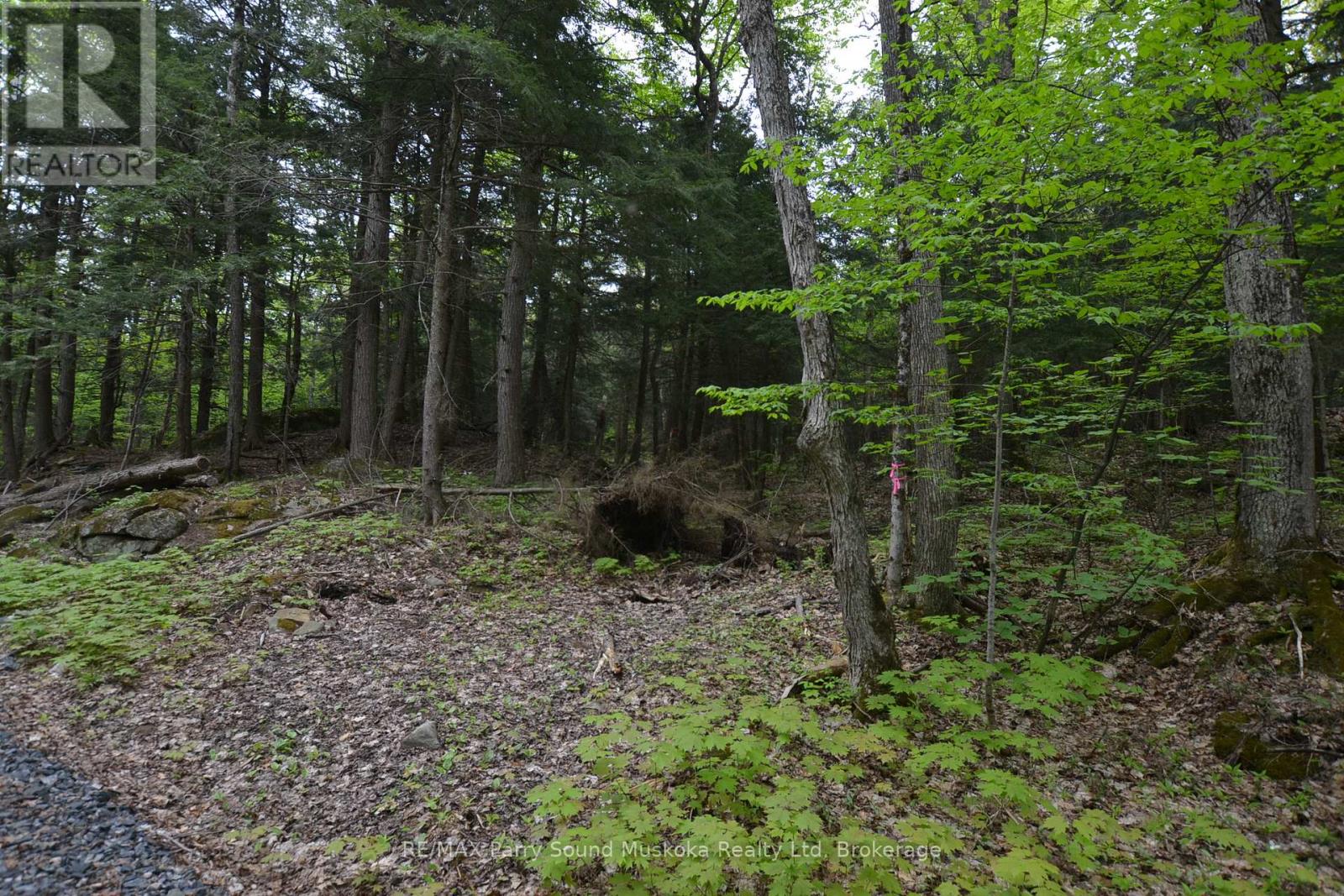 1 Salway Lane, Mckellar, Ontario  P0G 1C0 - Photo 21 - X12152974