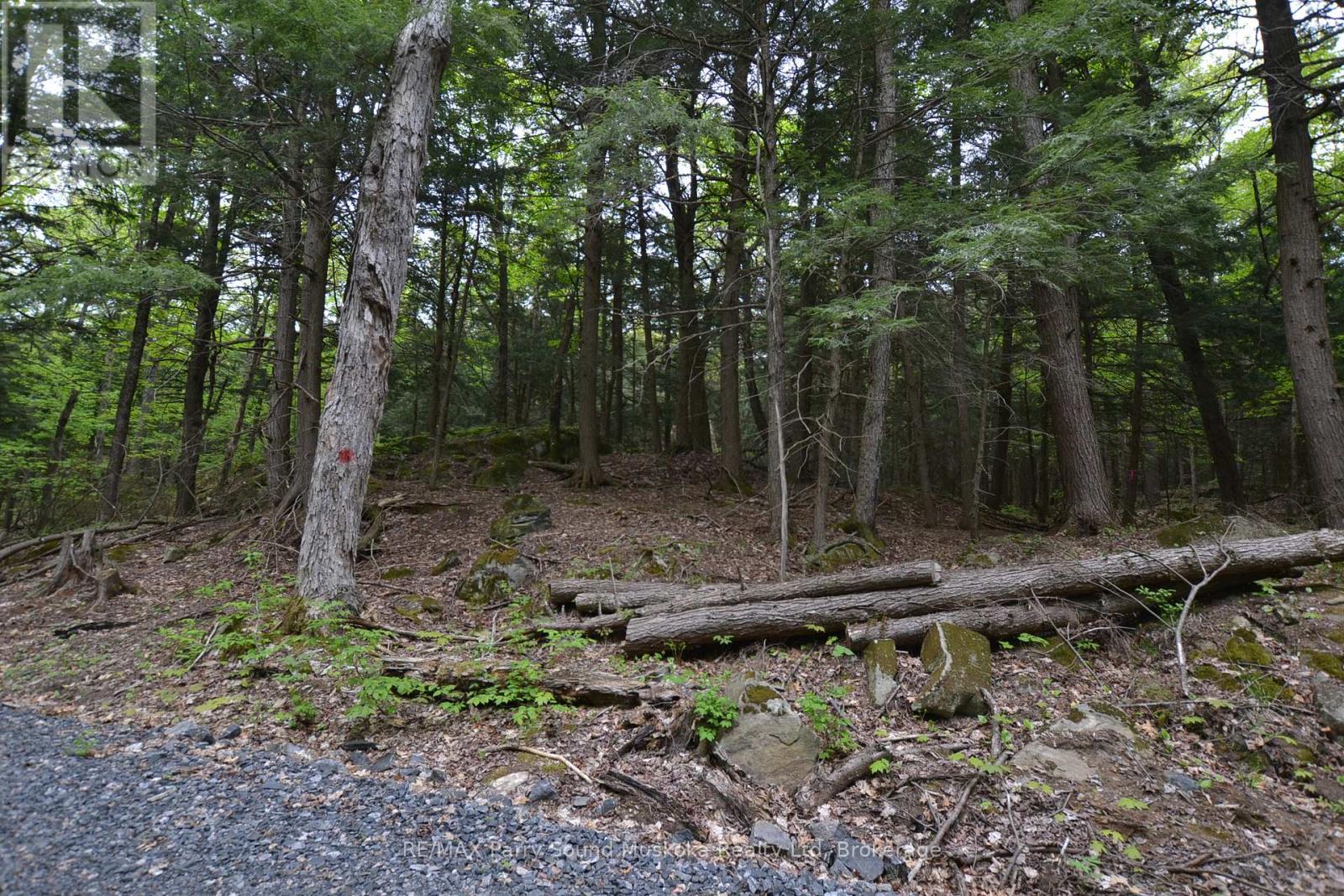 1 Salway Lane, Mckellar, Ontario  P0G 1C0 - Photo 22 - X12152974