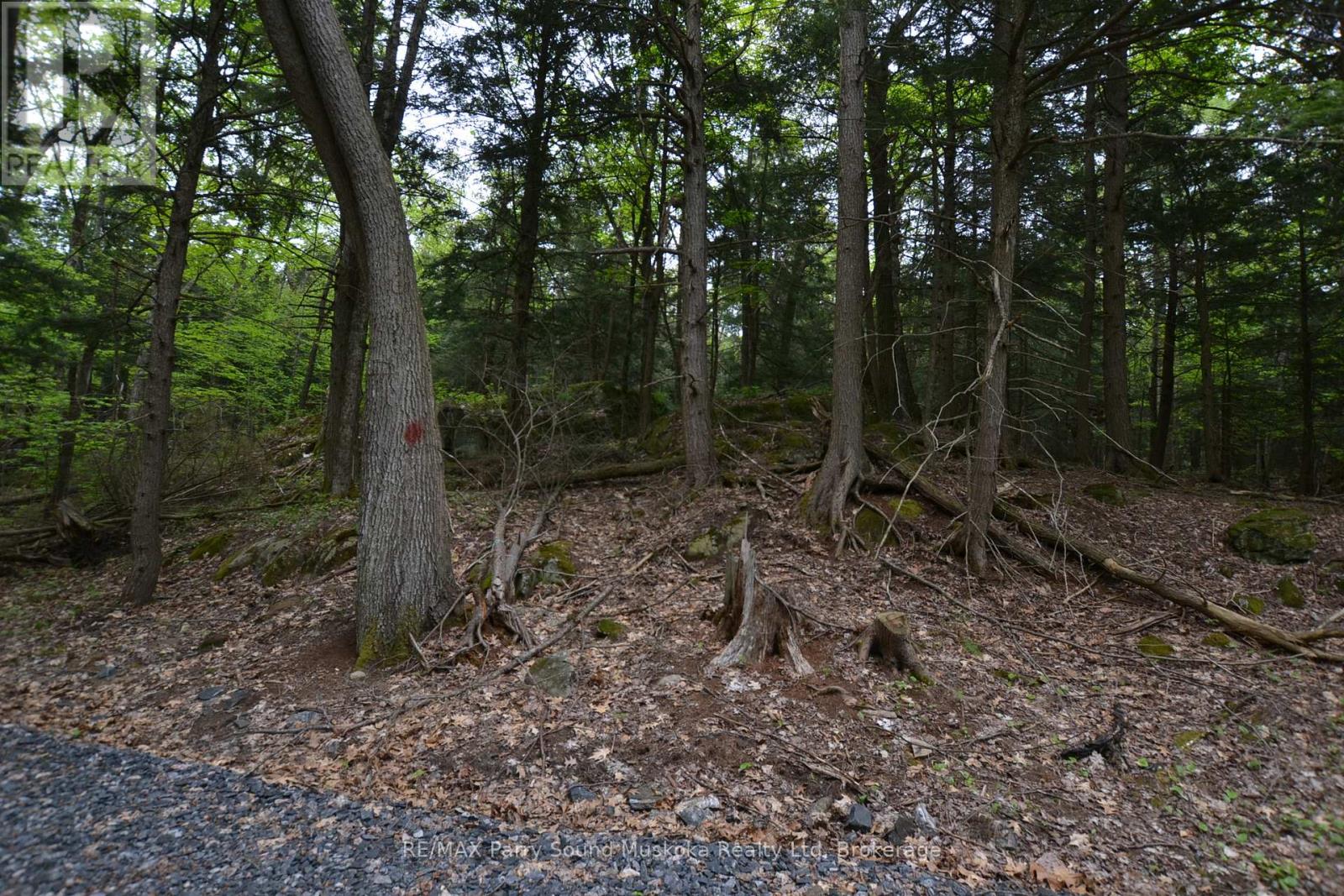 1 Salway Lane, Mckellar, Ontario  P0G 1C0 - Photo 23 - X12152974