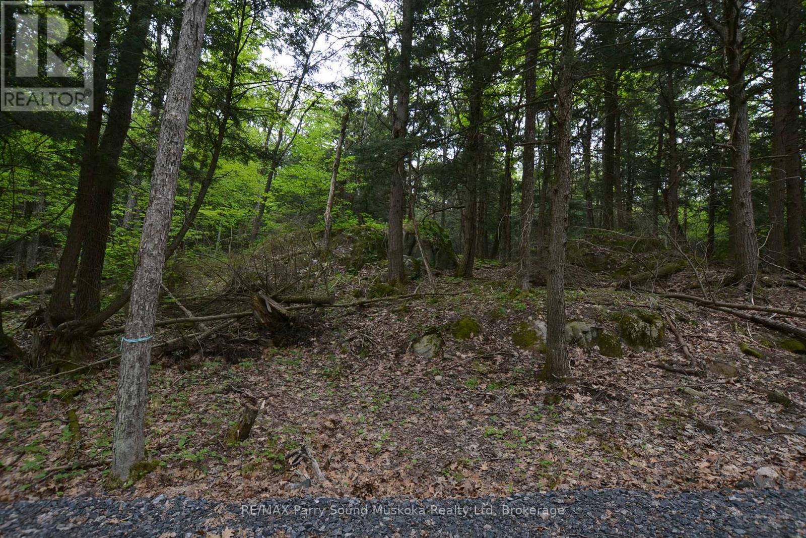 1 Salway Lane, Mckellar, Ontario  P0G 1C0 - Photo 24 - X12152974