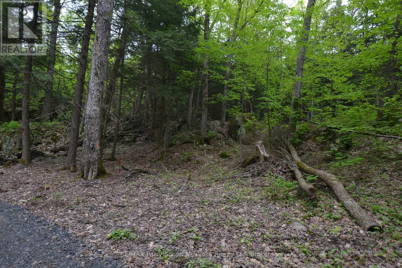 1 Salway Lane, Mckellar, Ontario  P0G 1C0 - Photo 25 - X12152974