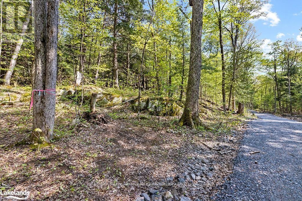 1 Salway Lane, Mckellar, Ontario  P0G 1C0 - Photo 26 - X12152974