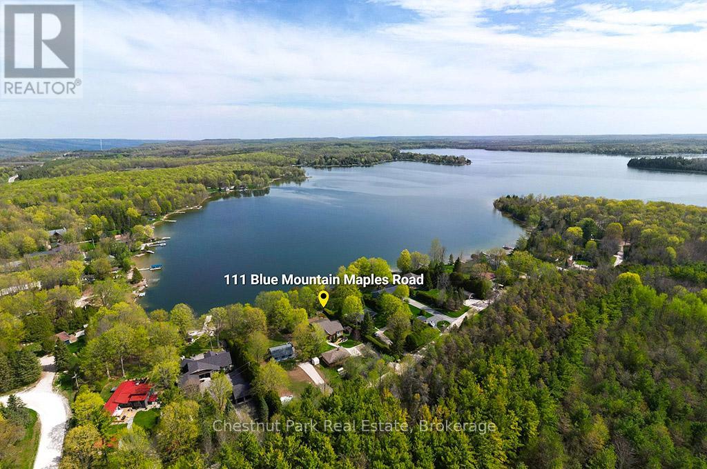 111 BLUE MOUNTAIN MAPLES ROAD, Grey Highlands, Ontario