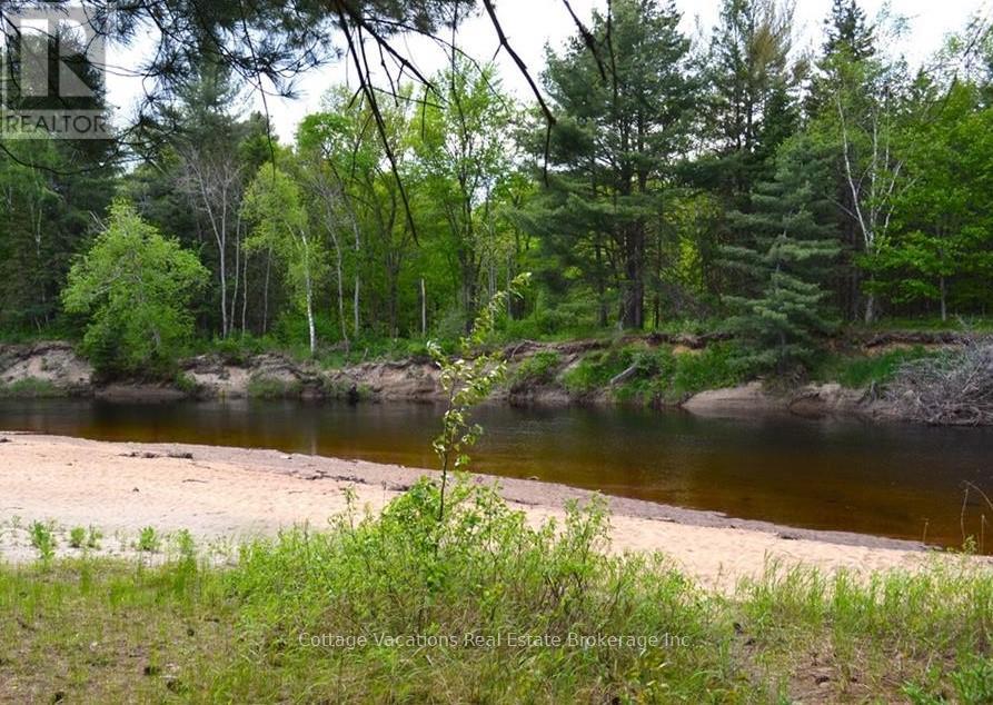 341 Old North Road, Huntsville, Ontario  P1H 2J4 - Photo 7 - X12154016
