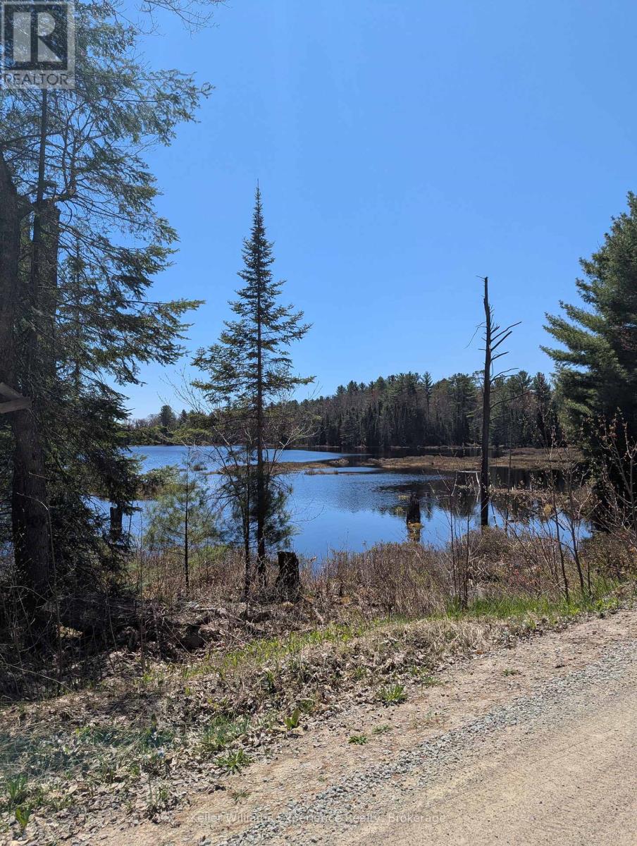0 N Pine Drive, Lake Of Bays, Ontario  P0B 1A0 - Photo 4 - X12154023