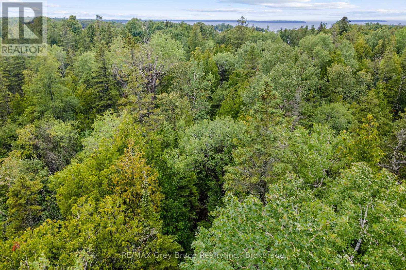 Pt Farm Lt 4 Nicholas Street, Northern Bruce Peninsula, Ontario  N0H 2R0 - Photo 19 - X12154223
