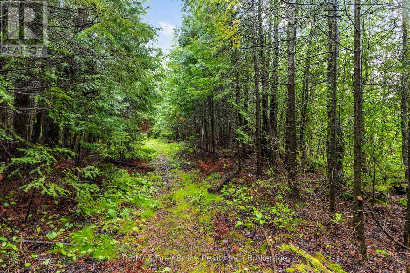 Pt Farm Lt 4 Nicholas Street, Northern Bruce Peninsula, Ontario  N0H 2R0 - Photo 24 - X12154223