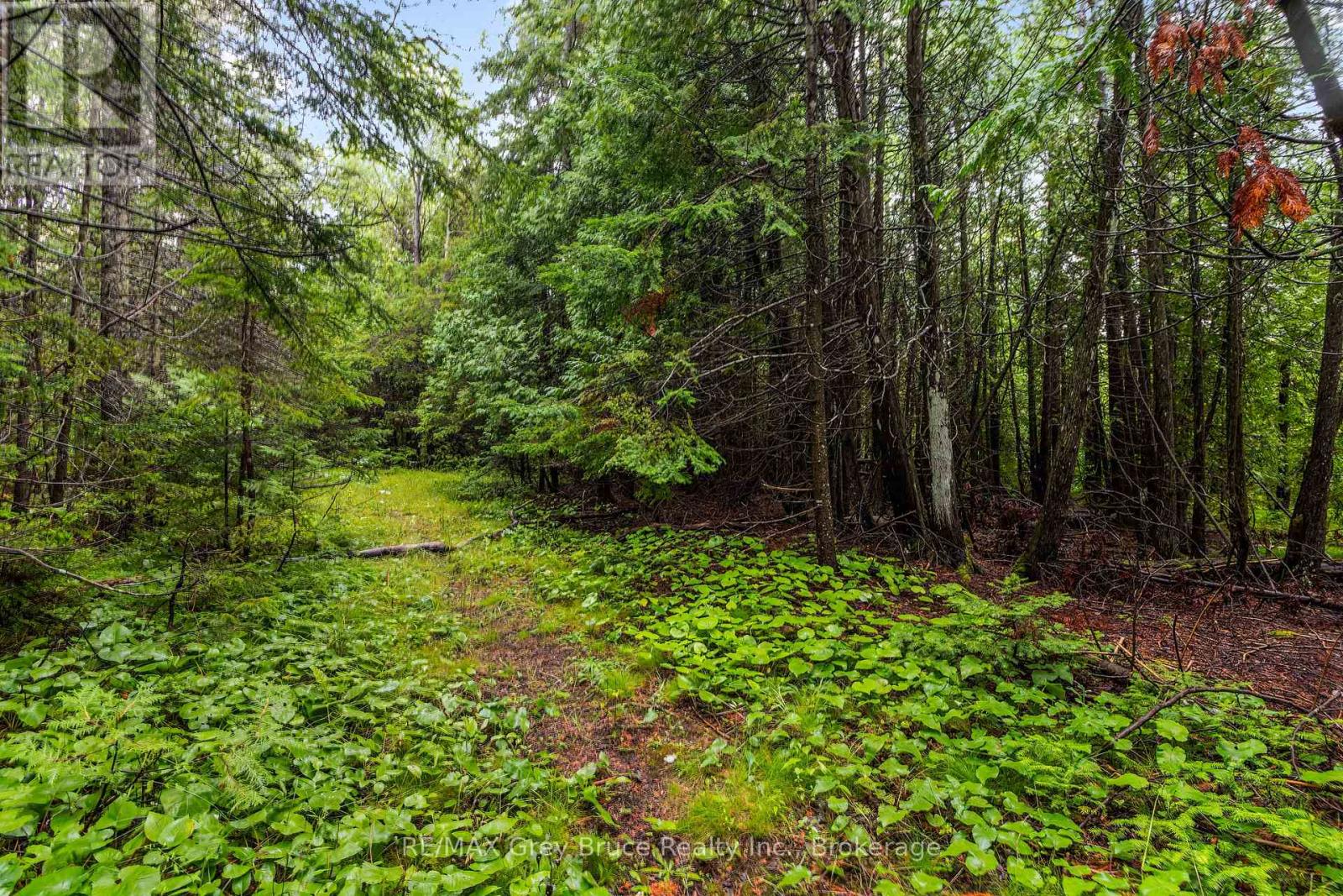 Pt Farm Lt 4 Nicholas Street, Northern Bruce Peninsula, Ontario  N0H 2R0 - Photo 25 - X12154223