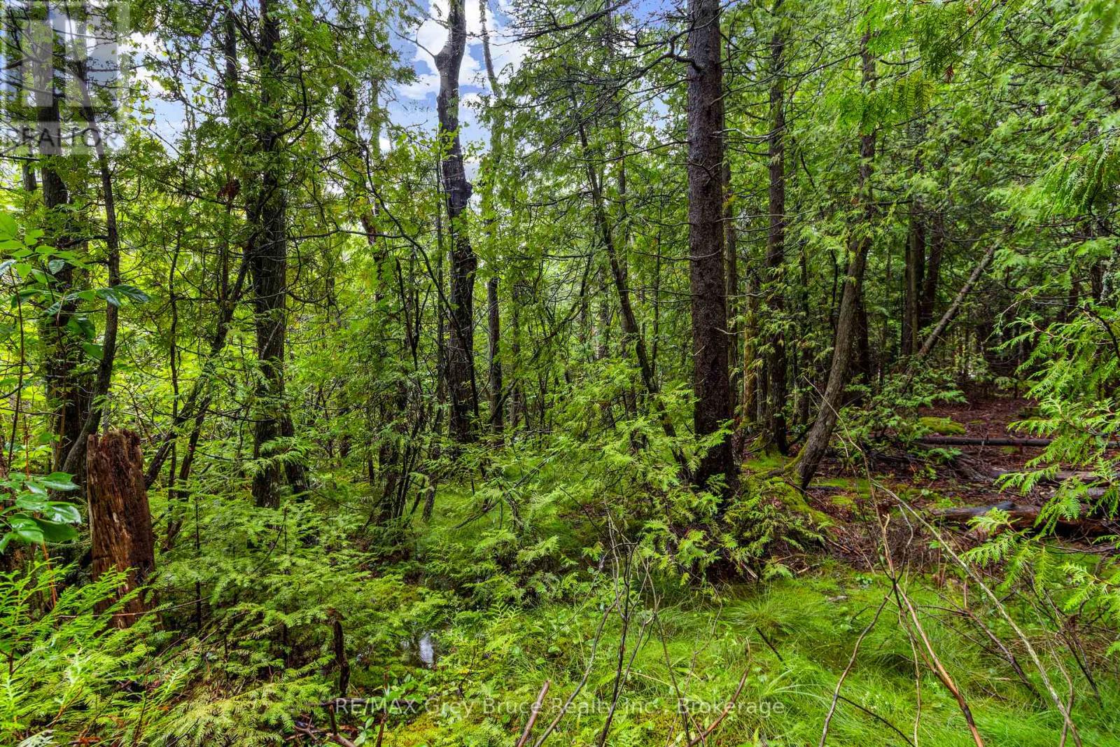 Pt Farm Lt 4 Nicholas Street, Northern Bruce Peninsula, Ontario  N0H 2R0 - Photo 29 - X12154223
