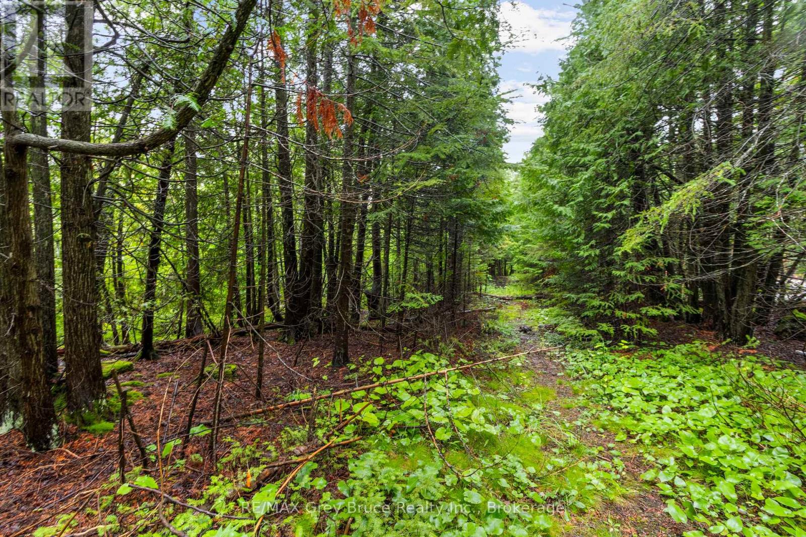 Pt Farm Lt 4 Nicholas Street, Northern Bruce Peninsula, Ontario  N0H 2R0 - Photo 4 - X12154223