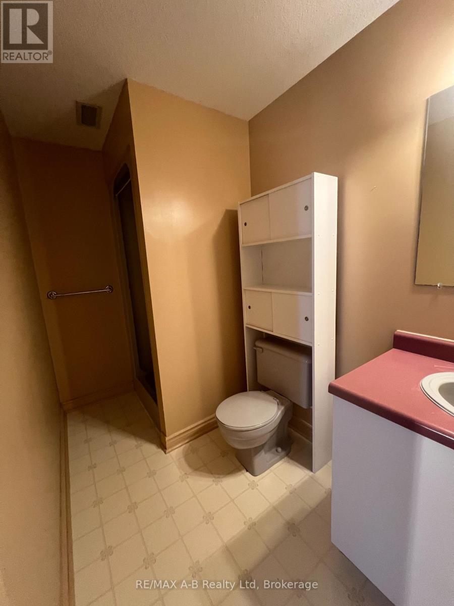 112 - 199 Hope Street E, East Zorra-Tavistock, Ontario  N0B 2R0 - Photo 25 - X12154485